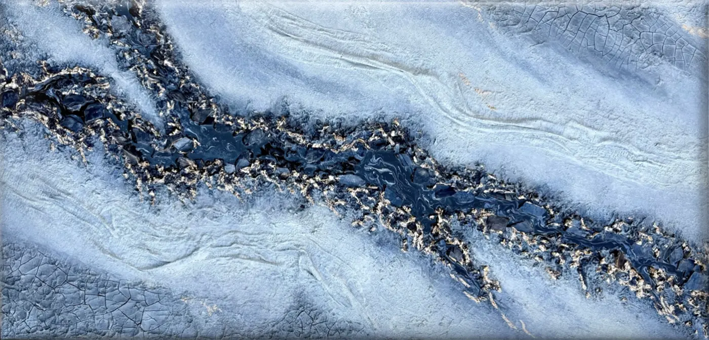 Image de la toile Froides dérives
